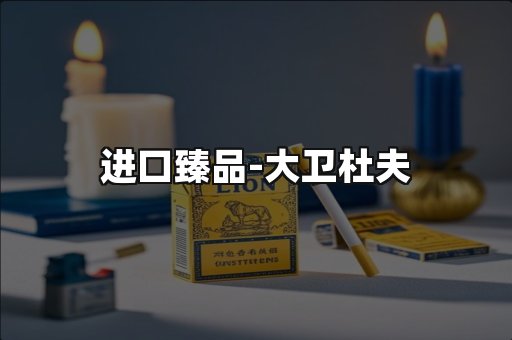 进口臻品