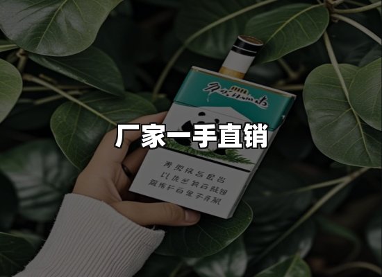 专业优势